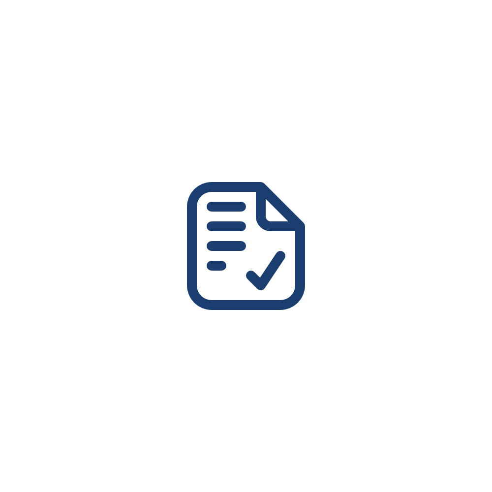 Document checked Icon